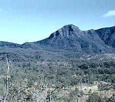 Cunningham's Gap, Great Dividing Range, Queensland 