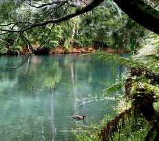 Beautiful setting in country New South Wales