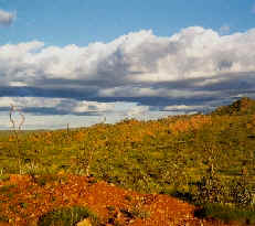 Outback ~ Northern Territory