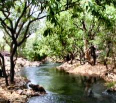 Parkland Paradise in Western Australia