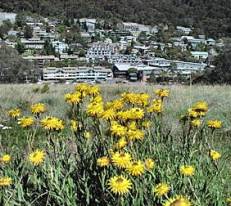 Thredbo, NSW