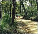 963km long Bibbulmun Track, stretching from Kalamunda in the north to Albany in the south