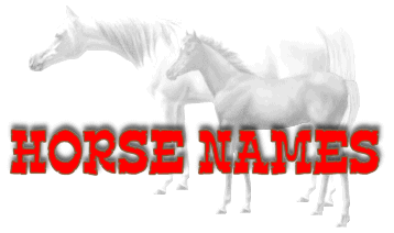 Horse Names